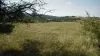 Tokë Për Shitje - 2258 the village Chibaovtsi BG Thumbnail 2