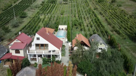 Shtëpia Për Shitje 99128 Vinica SK