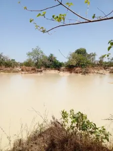 Tokë ndërtimi Për Shitje 0000 Brikama Gambia  DE