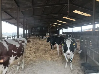 Fermë Për Shitje 54000 GRAFIGNY FR