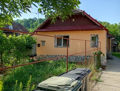 Fermë Për Shitje 407124 Vaida-Camaras RO